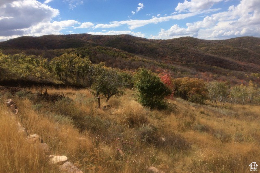 10969  SKYLINE RD Echo, UT 84024