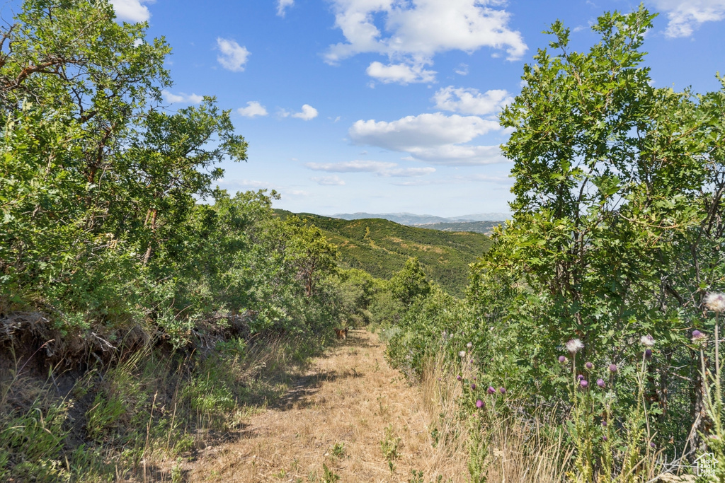 10969  SKYLINE RD Echo, UT 84024