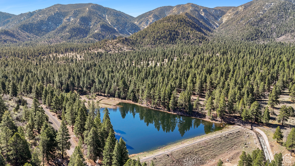 797 W OAKRIDGE RD Pine Valley, UT 84781