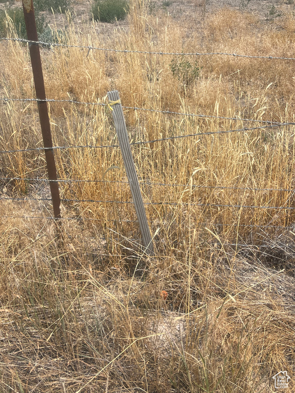 View of undeveloped land