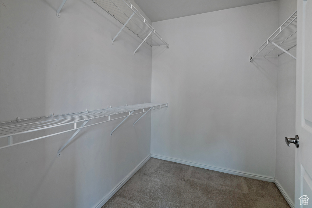 Walk in closet featuring light colored carpet