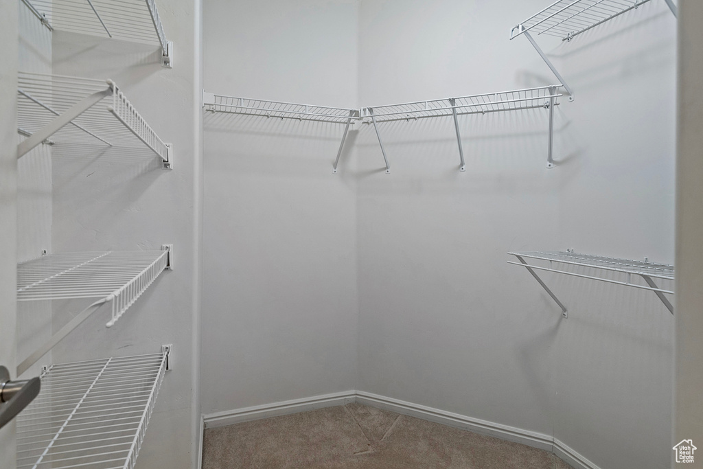 Walk in closet with carpet flooring