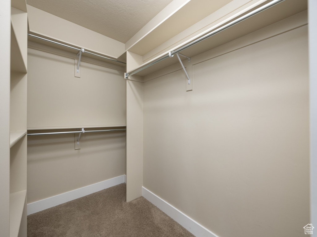 Spacious closet with carpet