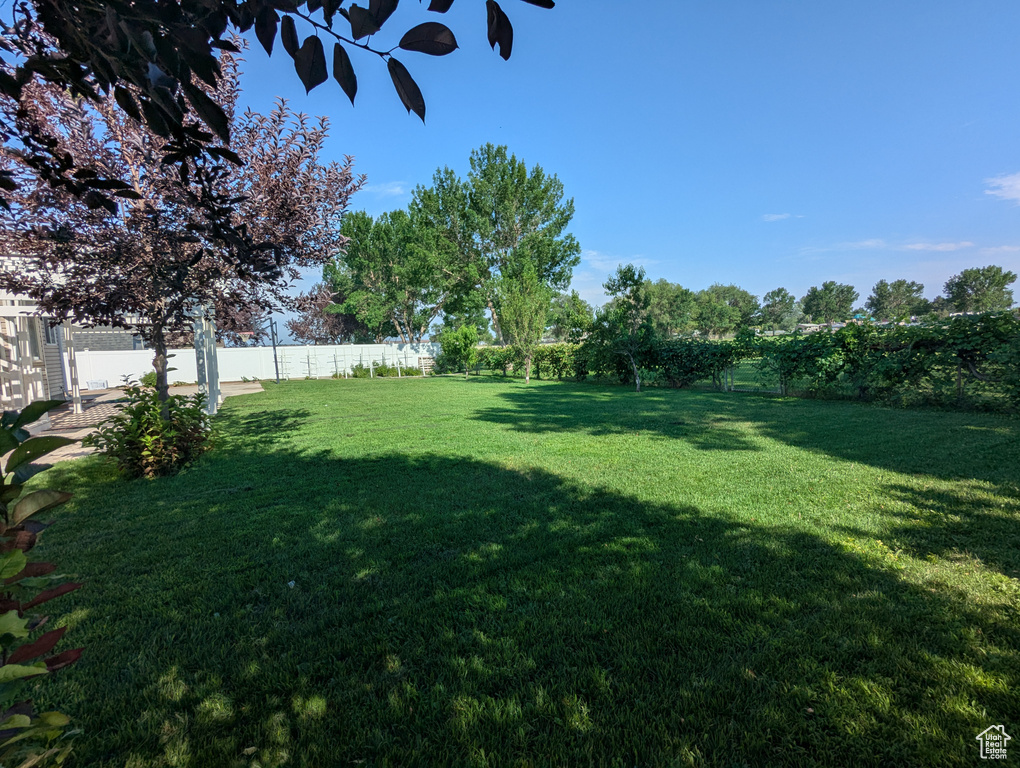 View of fenced backyard