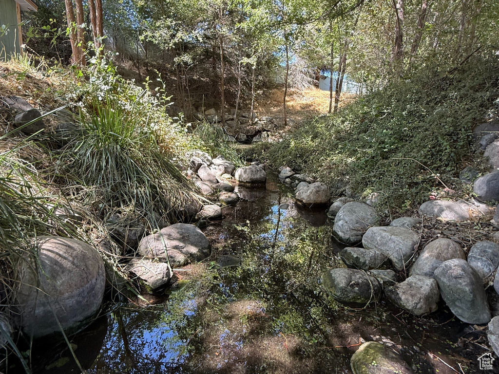 View of nature