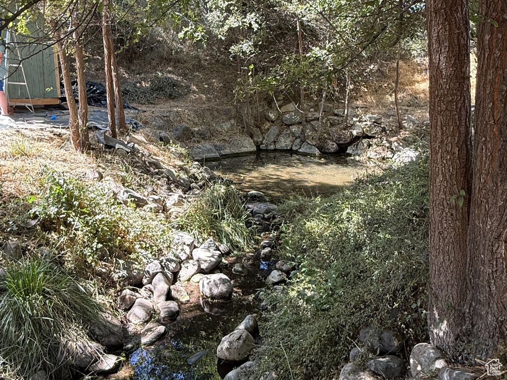 View of undeveloped land