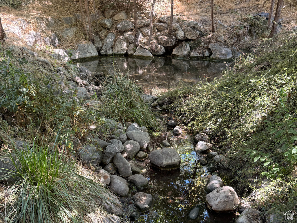 View of nature