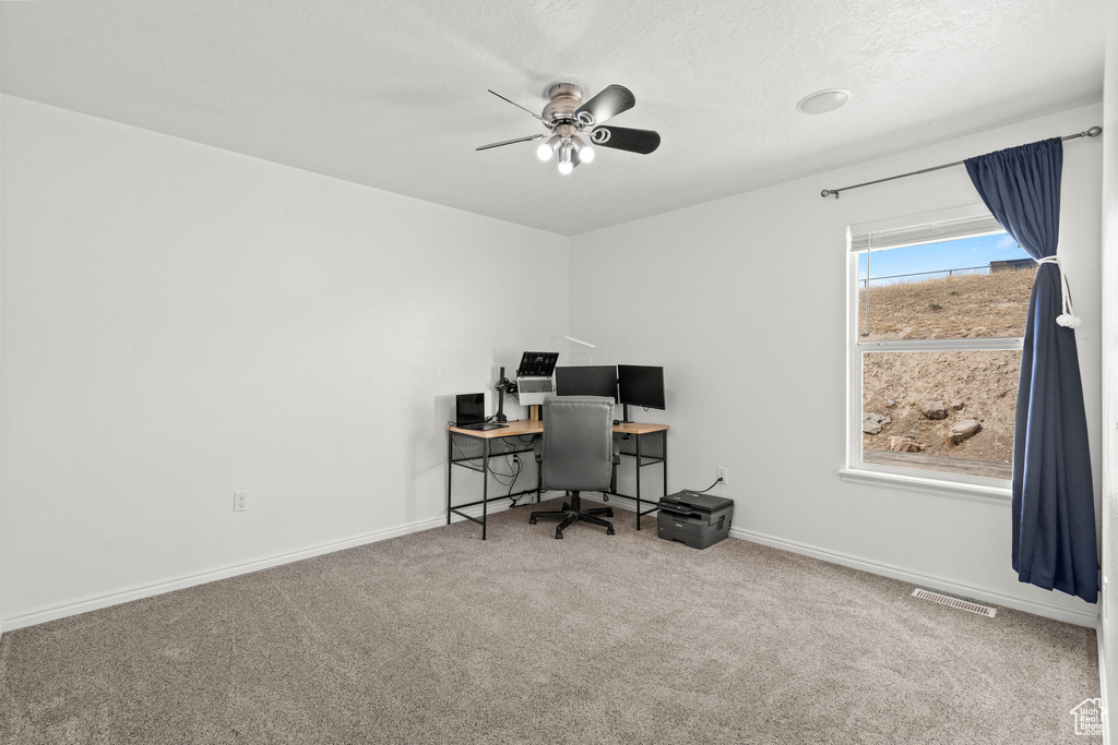Home office featuring carpet flooring and ceiling fan