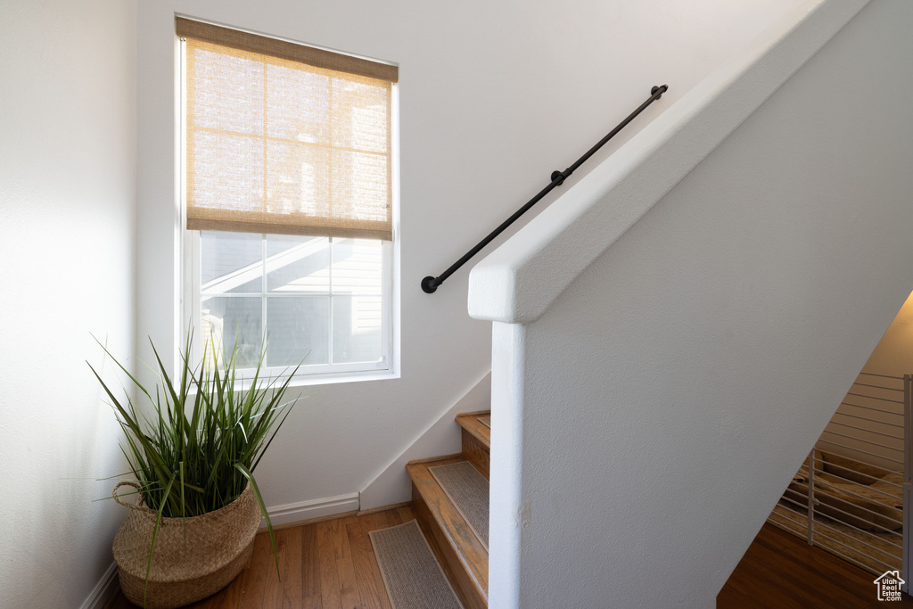 Photo 19 for MLS #2099765 at 157 E Flowerfield Dr