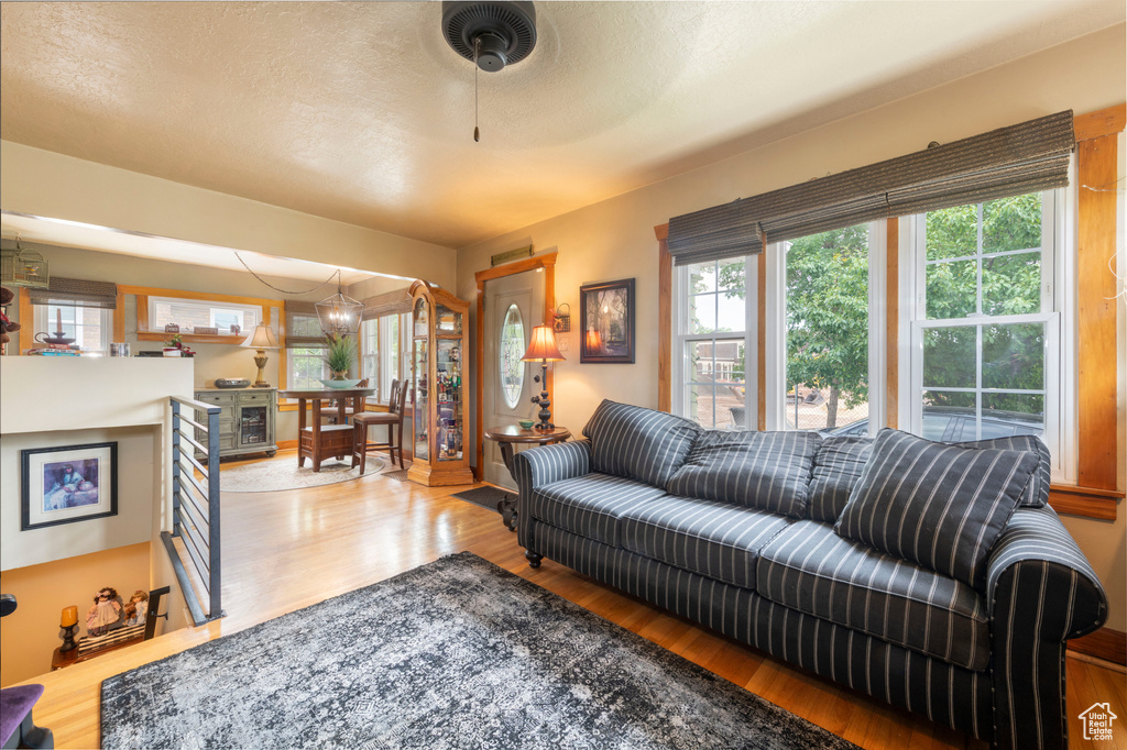 Living area featuring wood finished floors