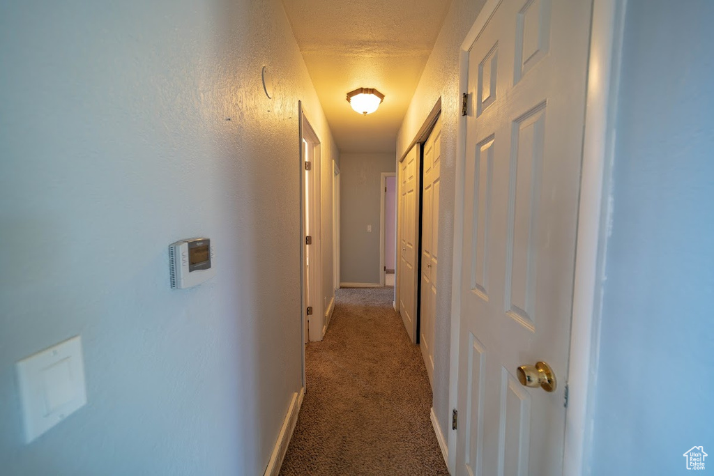 Photo 5 for MLS #2099788 at 703 N Windsor Cir