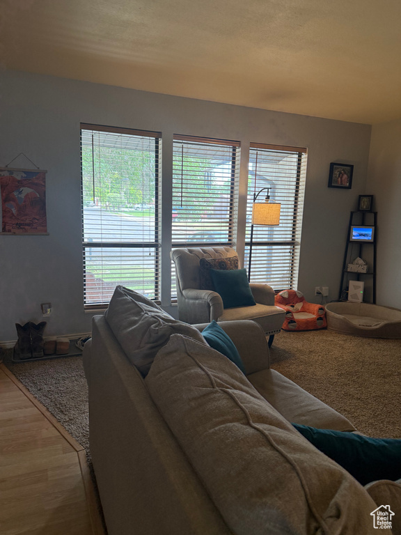 703 N WINDSOR CIR Price, UT 84501