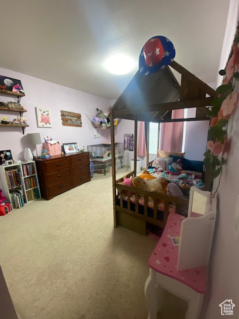 703 N WINDSOR CIR Price, UT 84501