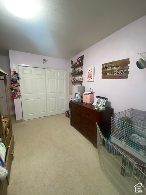 703 N WINDSOR CIR Price, UT 84501