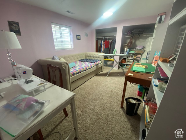 703 N WINDSOR CIR Price, UT 84501