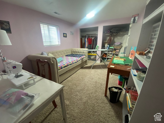703 N WINDSOR CIR Price, UT 84501