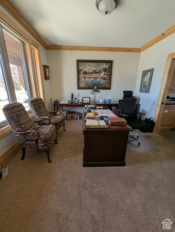 Photo 88 for MLS #2099808 at 3700 N Foothill Ln