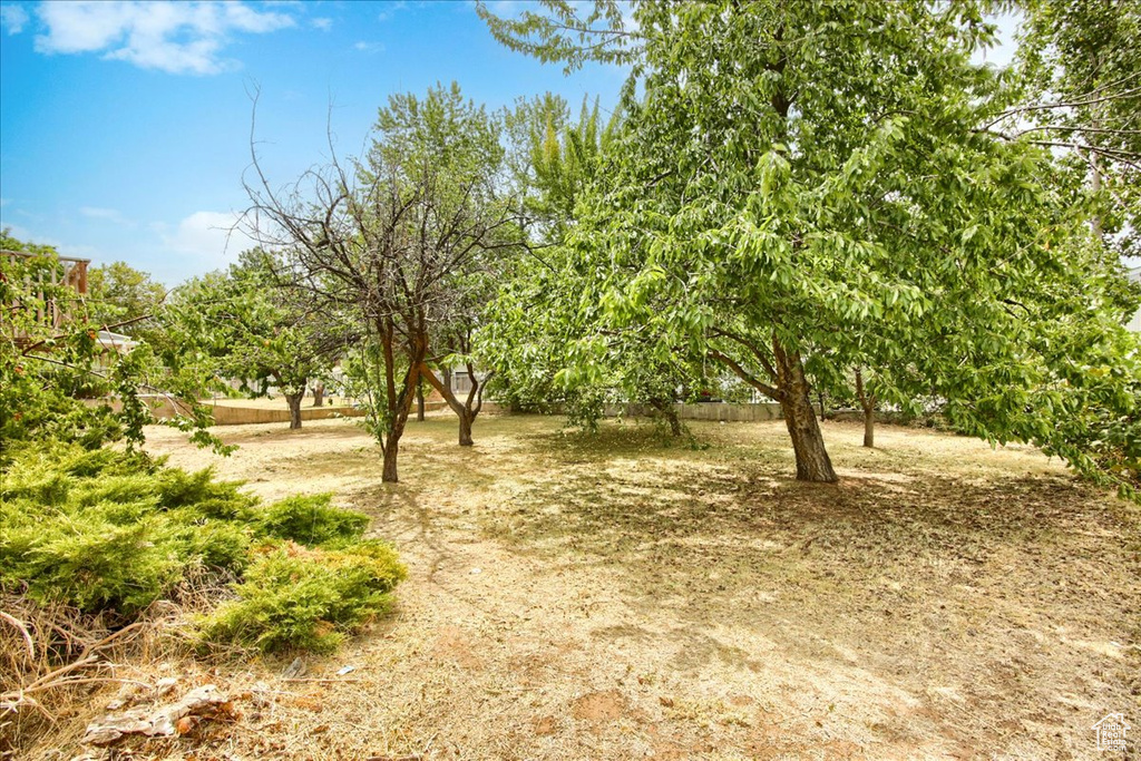 1546 E 700 S Clearfield, UT 84015