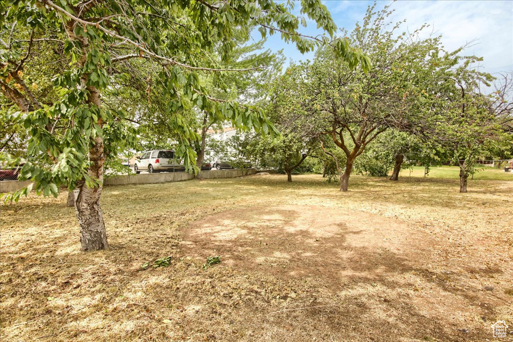 1546 E 700 S Clearfield, UT 84015
