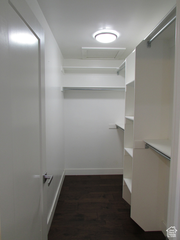 Spacious closet with dark wood-type flooring and attic access