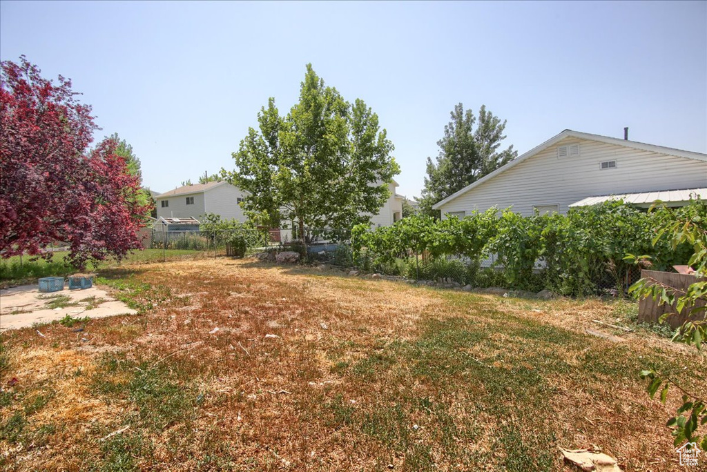 View of yard