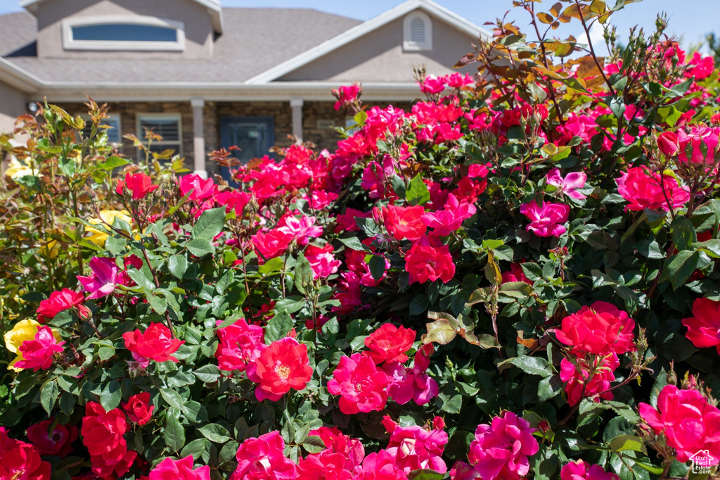 1069 E 1100 N American Fork, UT 84003
