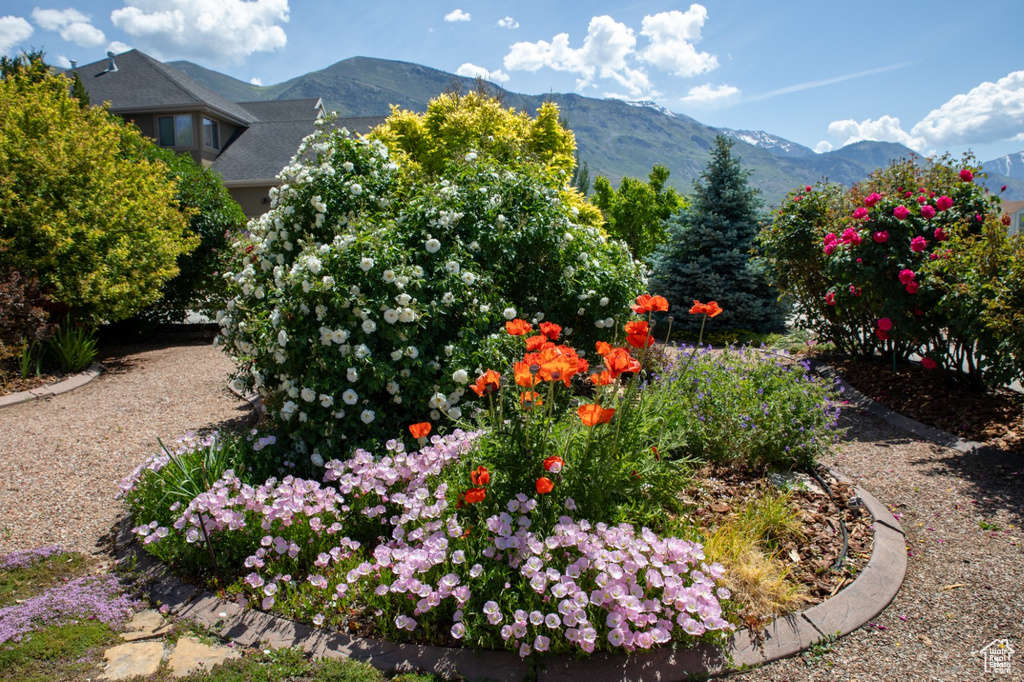 1069 E 1100 N American Fork, UT 84003