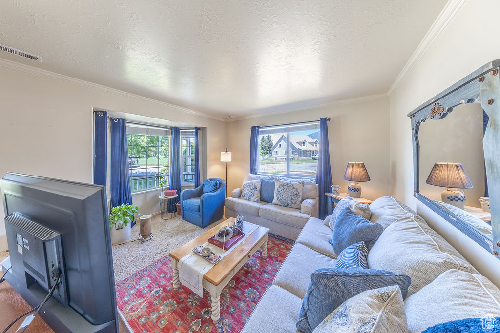 Living area with ornamental molding, carpet floors, a textured ceiling, and a wood stove
