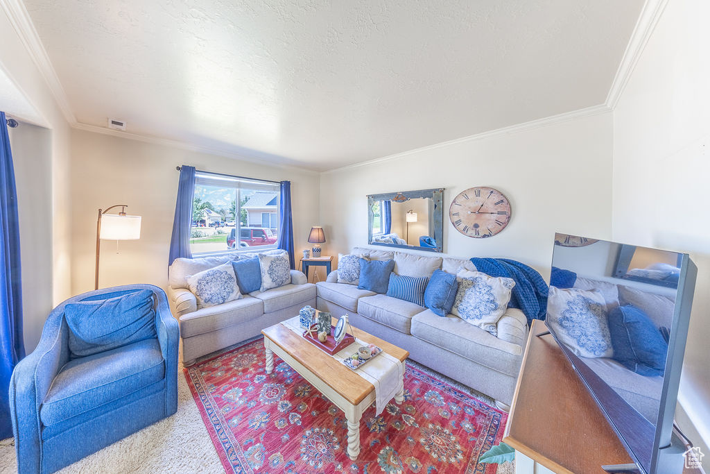 Carpeted living room with ornamental molding
