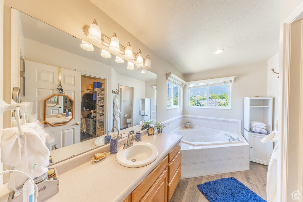 Bathroom featuring a tub with jets, vanity, wood finished floors, and a spacious closet