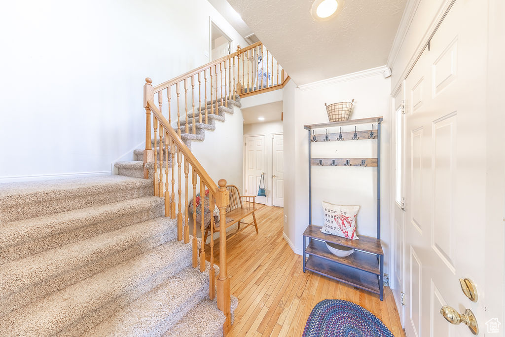 Stairway with hardwood / wood-style flooring and crown molding