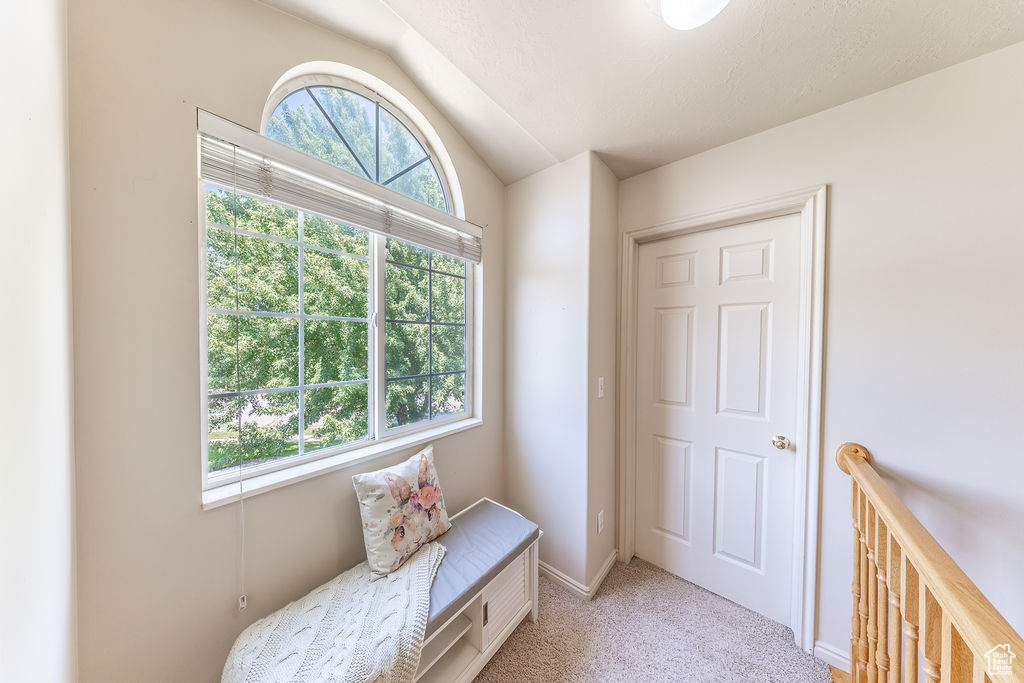 Sitting room featuring lofted ceiling, plenty of natural light, and carpet floors
