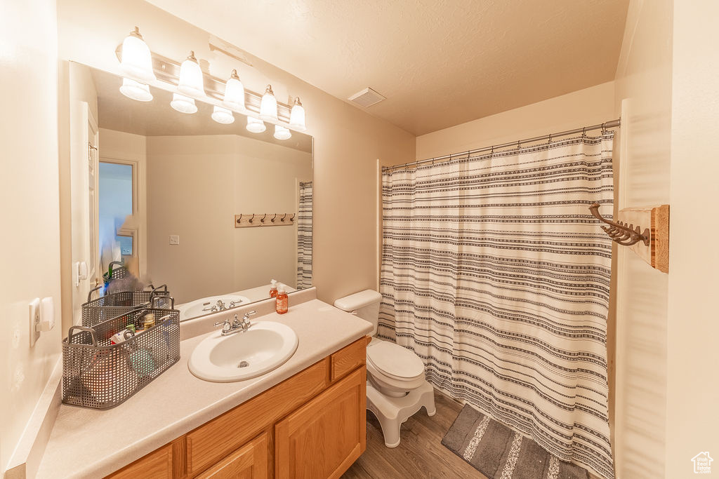 Full bathroom with vanity, wood finished floors, and a shower with shower curtain