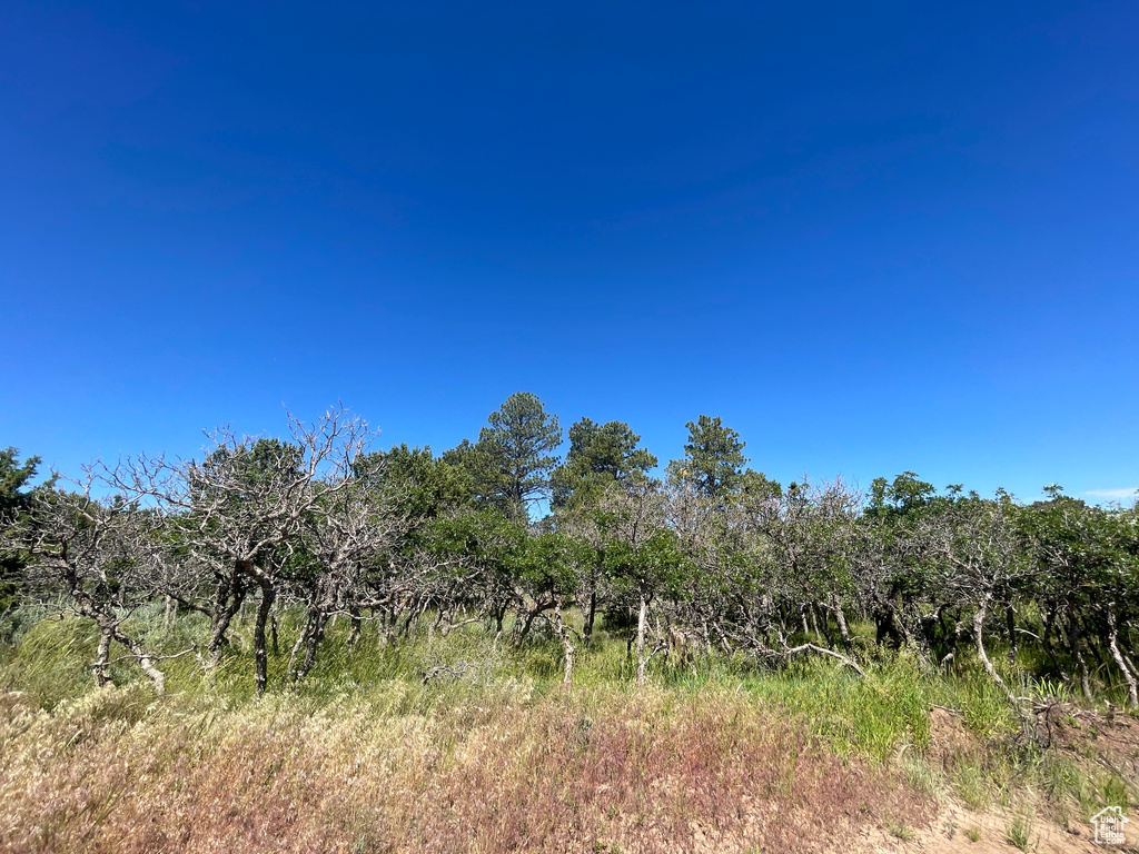 NORTH CREEK RD Monticello, UT 84535