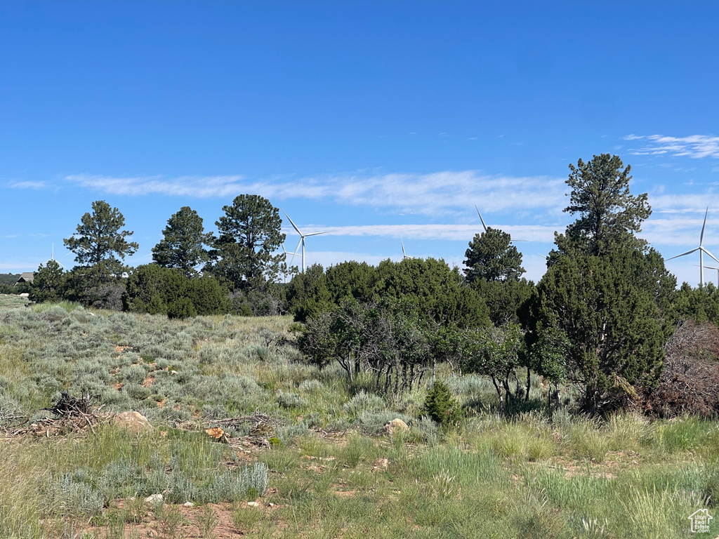 NORTH CREEK RD Monticello, UT 84535