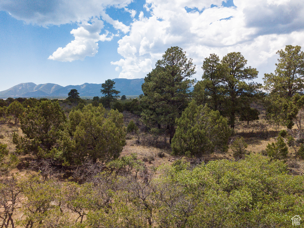 NORTH CREEK RD Monticello, UT 84535