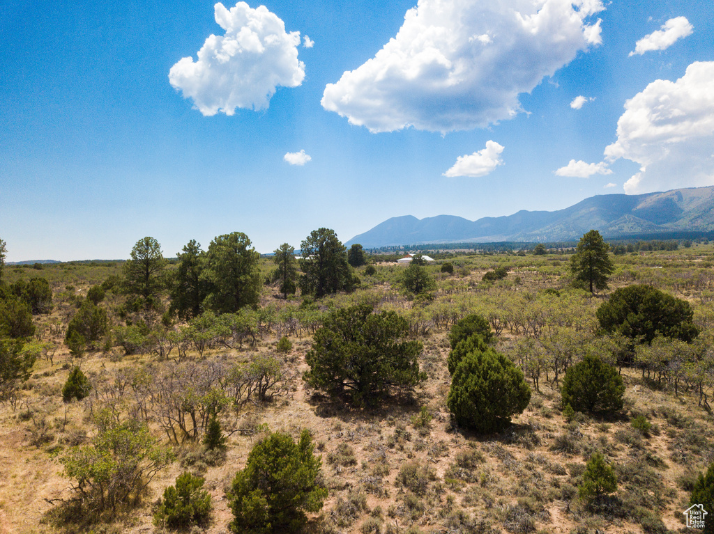 NORTH CREEK RD Monticello, UT 84535
