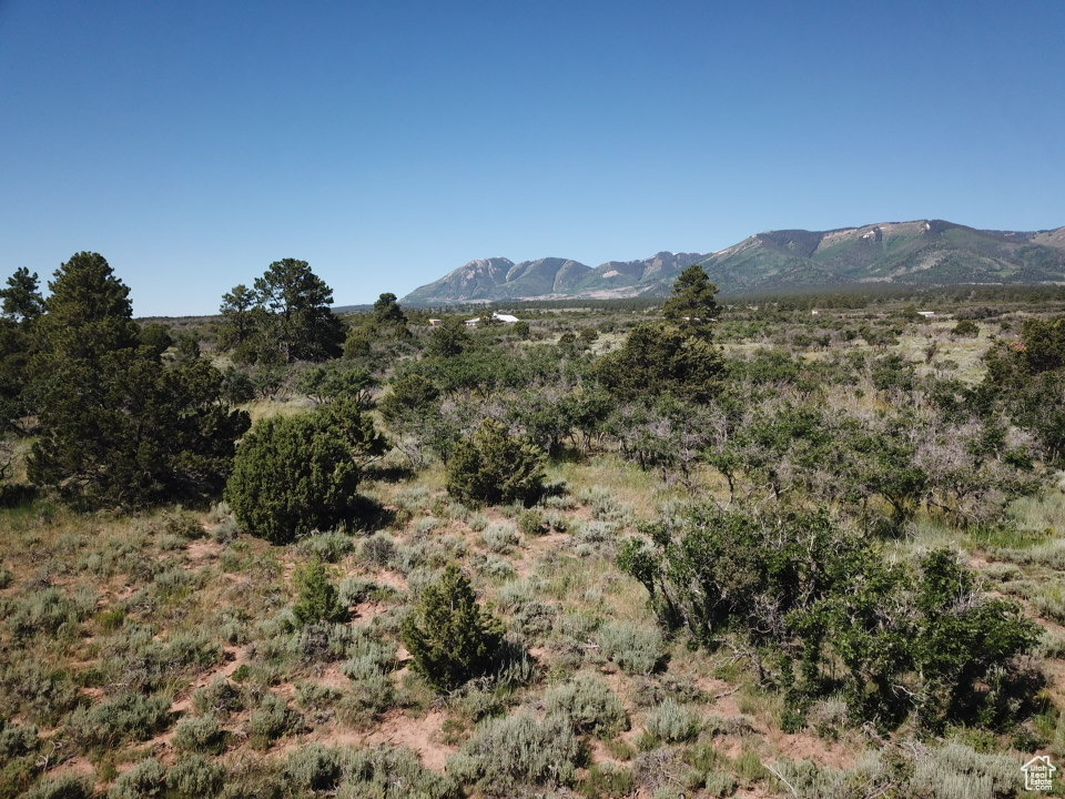 NORTH CREEK RD Monticello, UT 84535