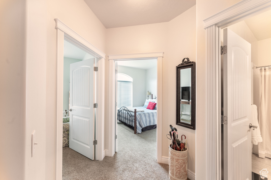 Corridor with light colored carpet and baseboards