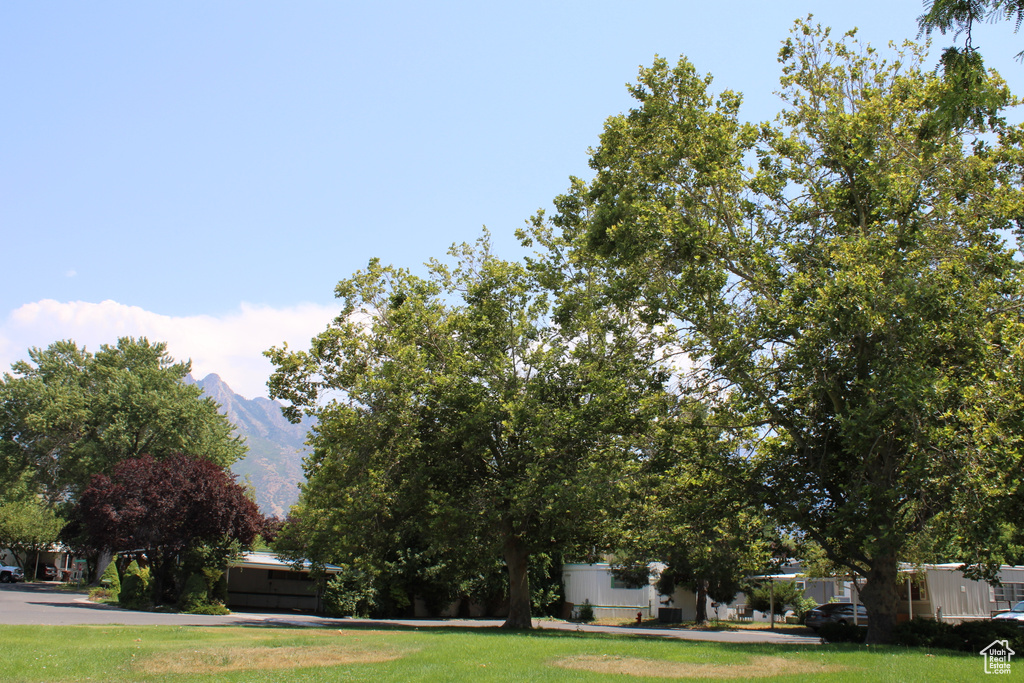 Photo 22 for MLS #2099880 at 1177 E La Contessa Dr