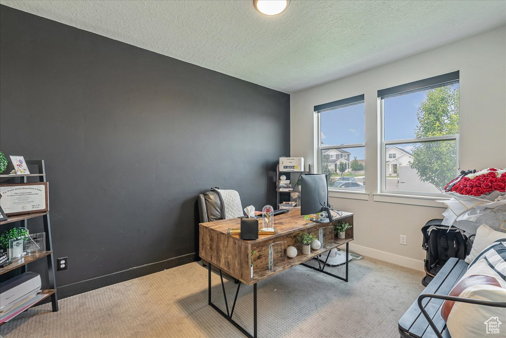 Home office with light carpet and a textured ceiling