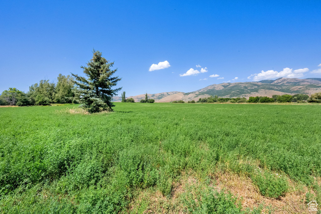 3462 E 4100 N Liberty, UT 84310