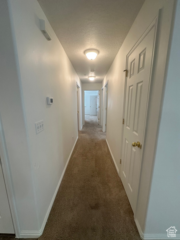 Photo 11 for MLS #2099888 at 8196 N Cedar Springs Rd #2