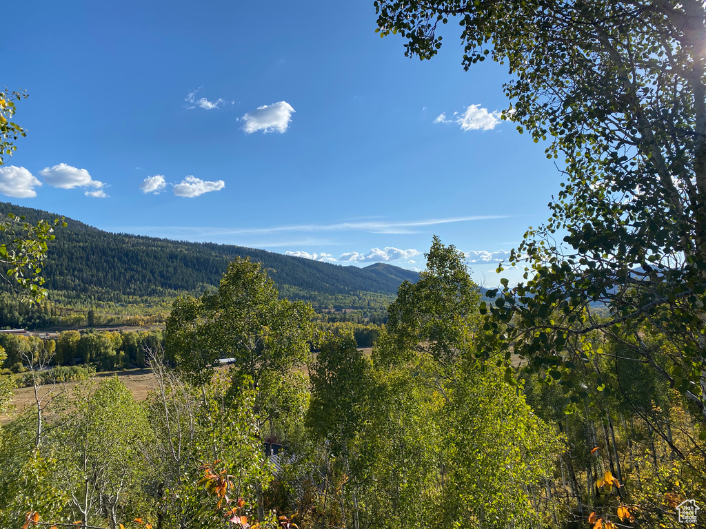 5490 E FREMONT TRL Oakley, UT 84055