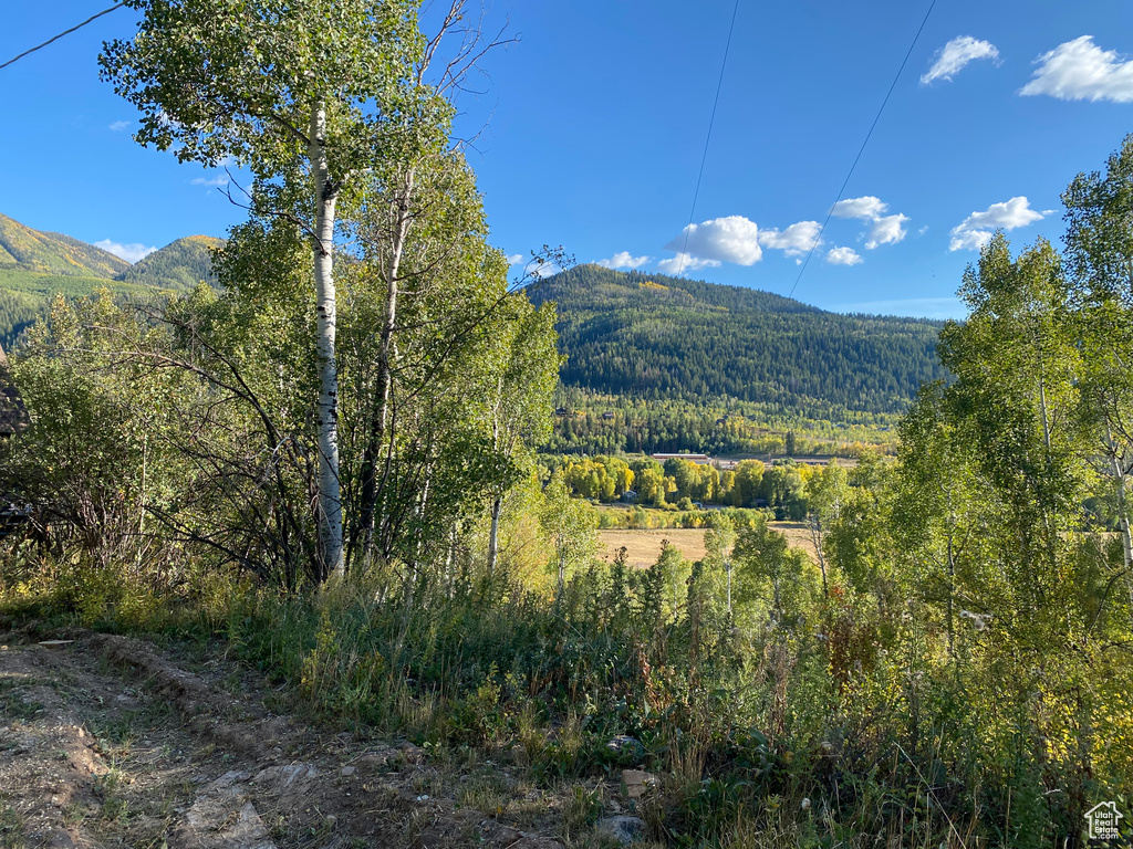 5490 E FREMONT TRL Oakley, UT 84055