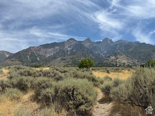 405 S 200 E Willard, UT 84340