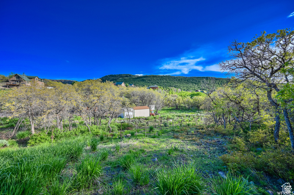 1810 TIMBER LAKES DR #832 Heber City, UT 84032