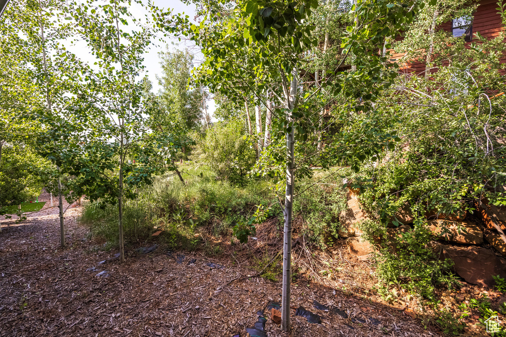 3355 SANTA FE RD Park City, UT 84098