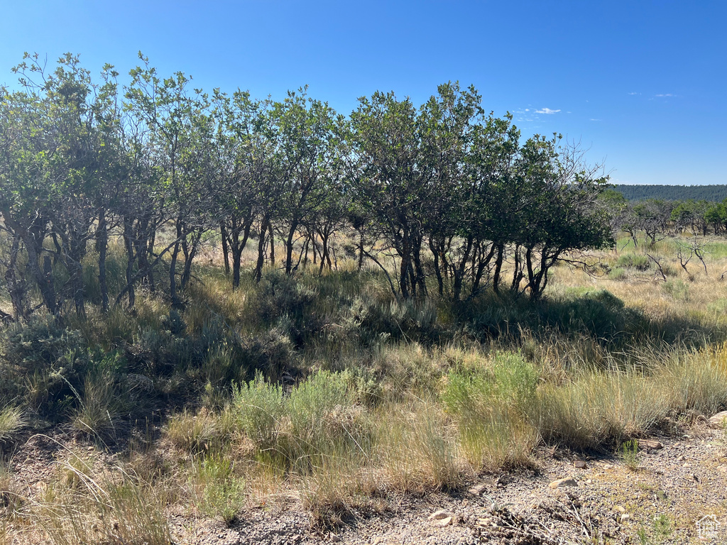 32  PORPUPINE LN La Sal, UT 84530