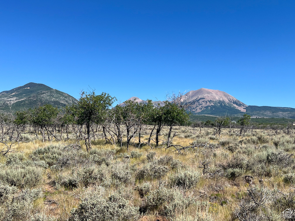 32  PORPUPINE LN La Sal, UT 84530